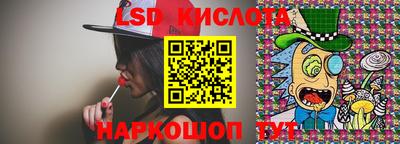 PSILOCYBIN Гатчина
