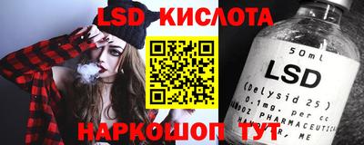 PSILOCYBIN Гатчина