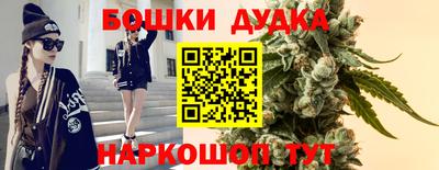 PSILOCYBIN Гатчина