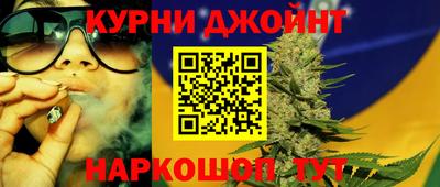 PSILOCYBIN Гатчина