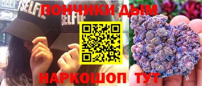 PSILOCYBIN Гатчина