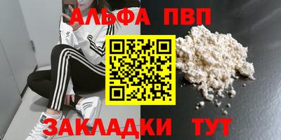 PSILOCYBIN Гатчина