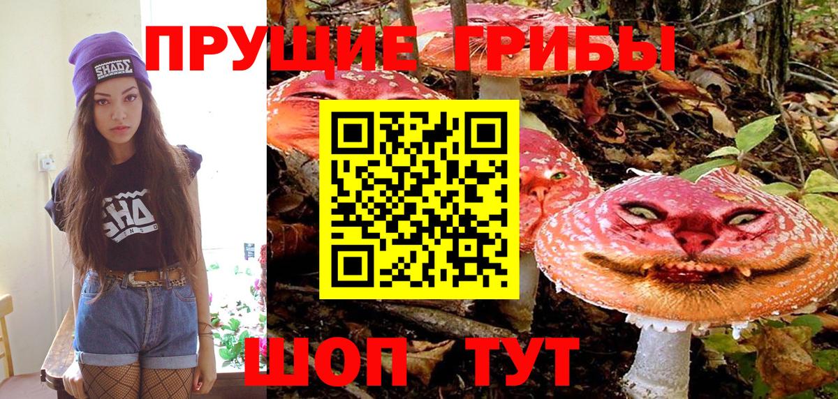 Тулун  Псилоцибиновые грибы Psilocybine cubensis  Галлюциногенные грибы MAGIC MUSHROOMS  Вход с VPN 